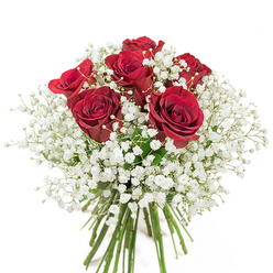 A harmonious blend of tradition and Soho sophistication, this bouquet brings together approximately twenty red roses whose deep, velveteen petals curl open to reveal the full intensity of their hue. Cupped by clouds of delicate baby's breath-each floret a spark of light against the rich crimson blooms-the arrangement feels both classic and fresh, much like the vibrant surroundings of Carnaby Street. Gathered in a crystal-clear vase that showcases every verdant stem, the bouquet evokes a sense of understated luxury reminiscent of the refined charm found in Soho's exclusive boutiques. The entire composition is illuminated by gentle daylight, which highlights every petal's sheen and creates a captivating interplay between shadow and brilliance. The tactile contrast between the firm, silken roses and the whisper-light gypsophila invites contemplation and admiration, making this bouquet a cherished choice for anniversaries, special celebrations, or an elegant declaration of love in central London's most eclectic district.